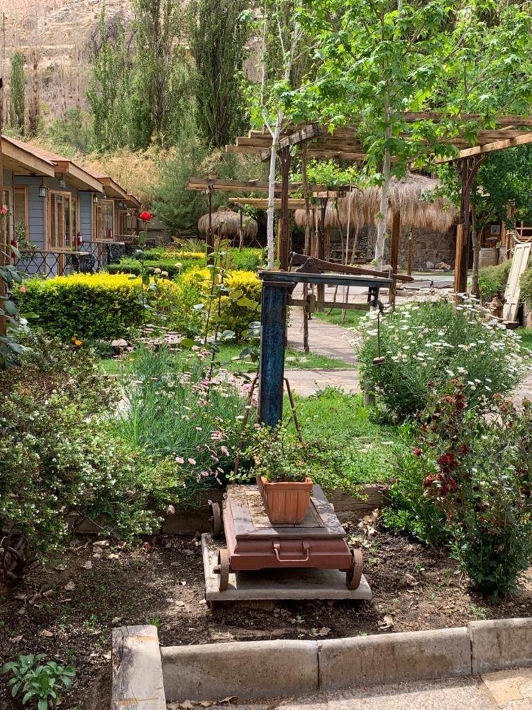 Hotel Faro Del Valle ピスコ・エルキ エクステリア 写真