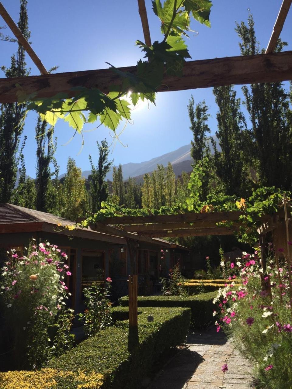 Hotel Faro Del Valle ピスコ・エルキ エクステリア 写真
